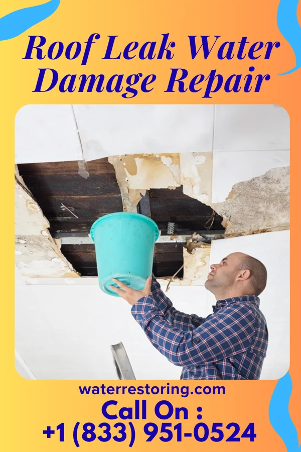 Roof Leak Water Damage Repair in Dodgingtown, CT